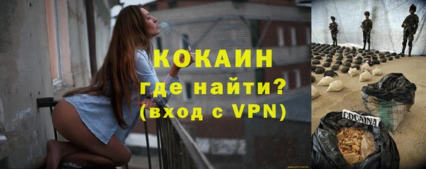 шишки Балахна